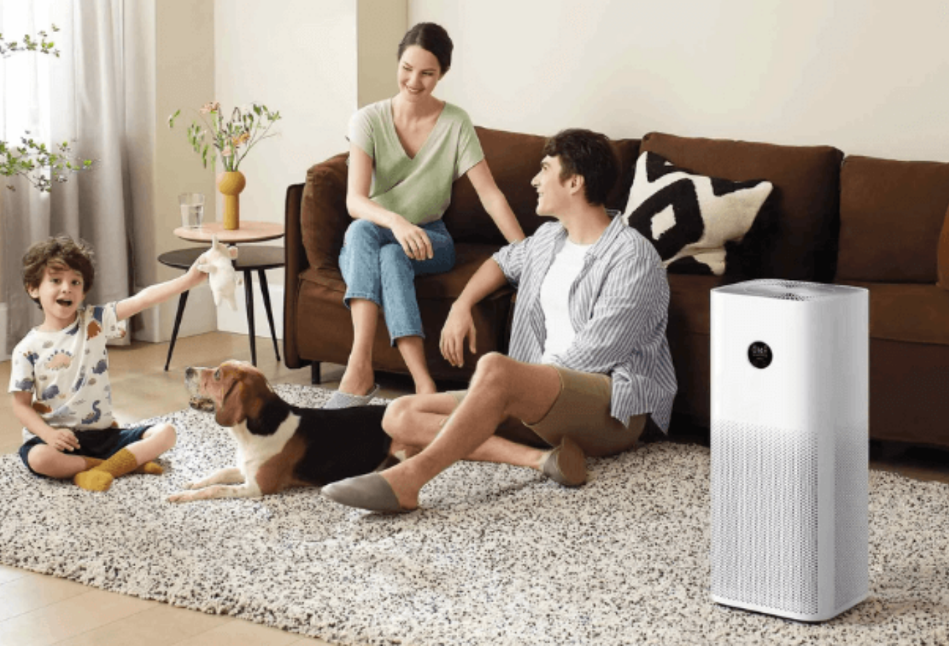 How to Choose an Affordable Home Air Purifier That Works